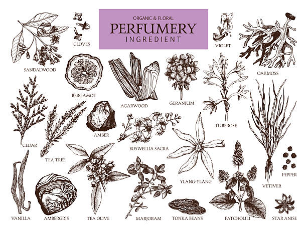 Fragrant Elements: Exploring Essential Perfume Ingredients - MixPerfume